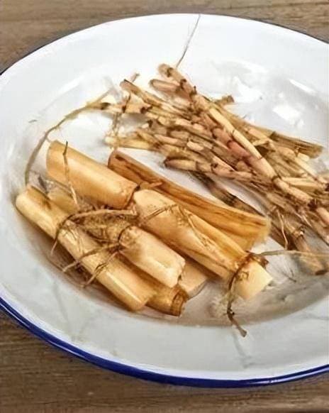 清热泻火,生津止渴——芦根