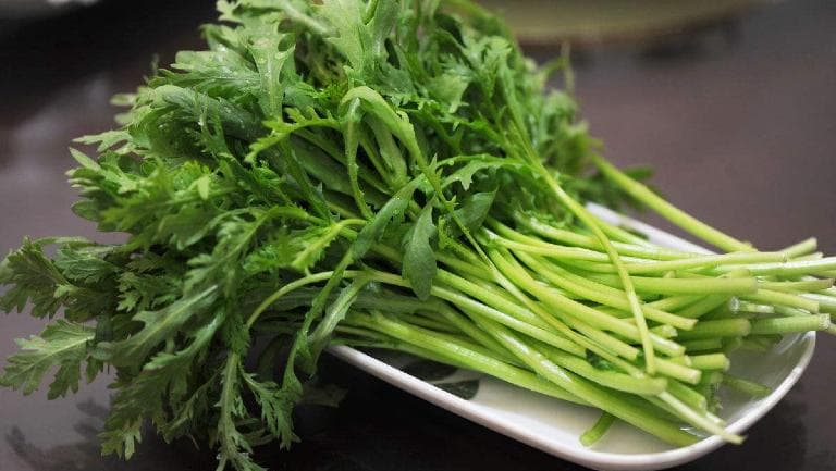 茼蒿菜的功效与作用、禁忌和食用方法