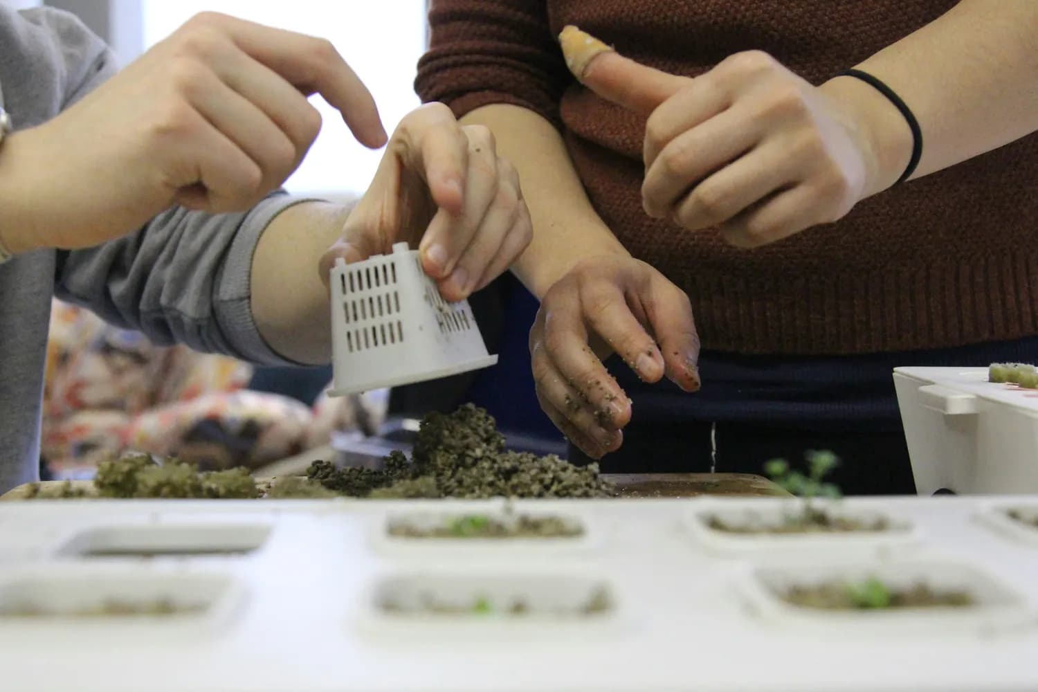 魏老师的暖心课堂：小学劳动教育中的情感关怀