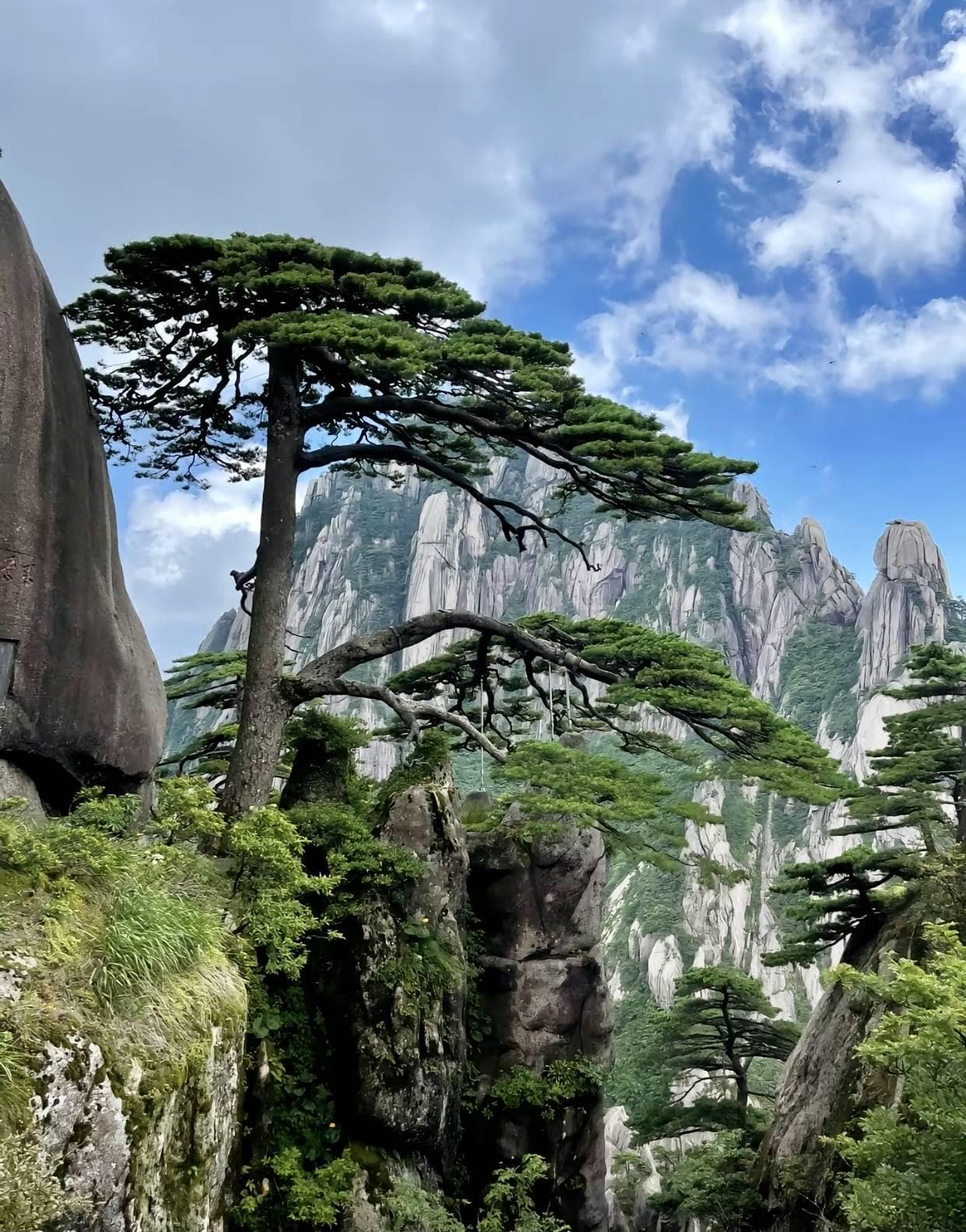 天下第一奇山的永恒魅力——黄山