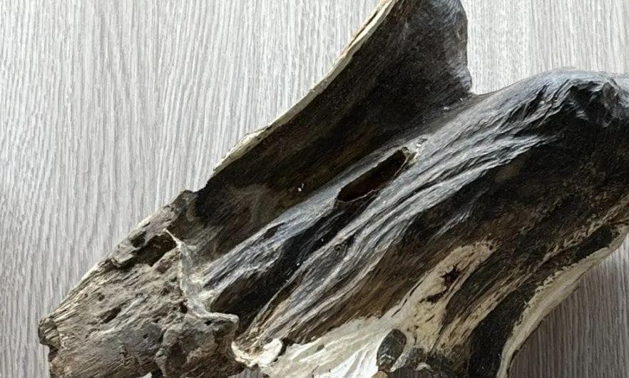 请把你买的假沉香发出来，沉香真假鉴别