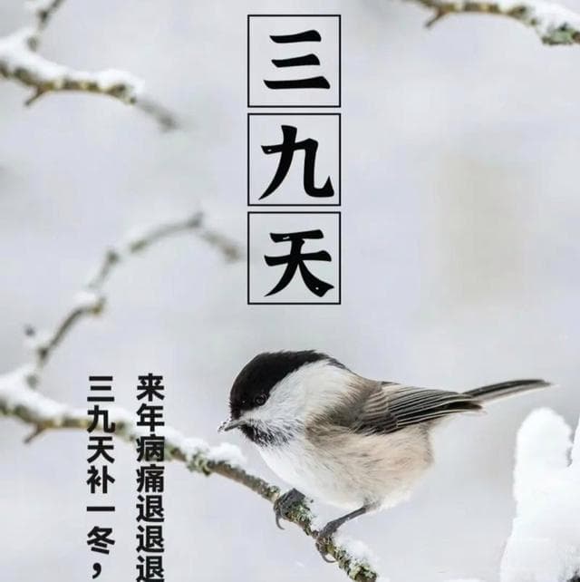 今日冬三九饮食养生，推荐常吃3白3红，可补益气血，润肺养阴