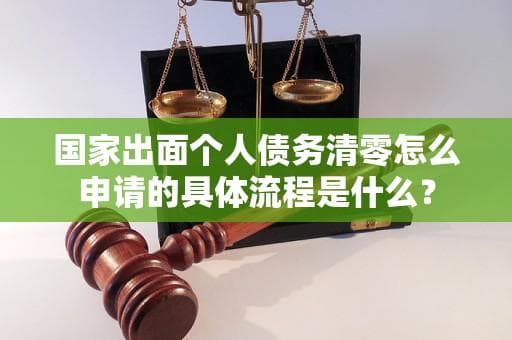 国家出面个人债务清零怎么申请的具体流程是什么？