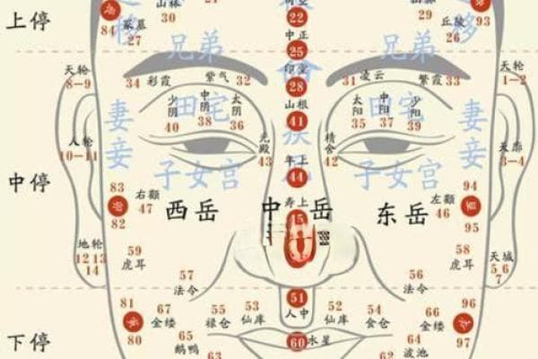 面相与性格：如何分辨刻薄与善良