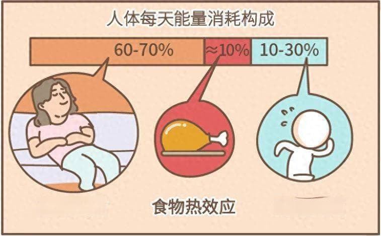 不知道基础代谢率？怎么减肥？提高基础代谢率做好这5点！