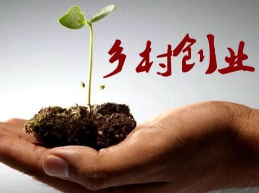 农村创业做什么有前景？农村创业小项目大全