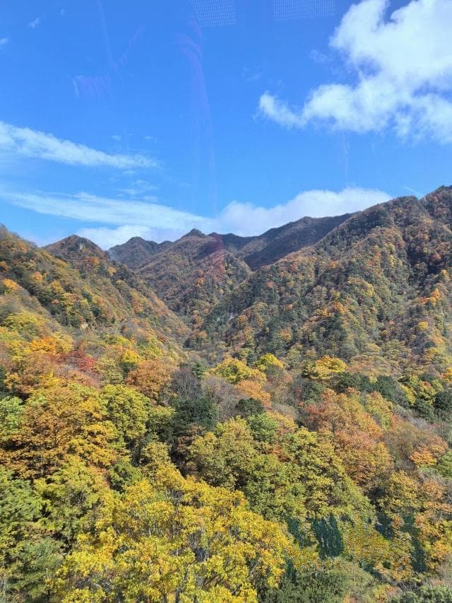 32年双向奔赴，重庆涪陵为浙江带来8大景区免票大礼包