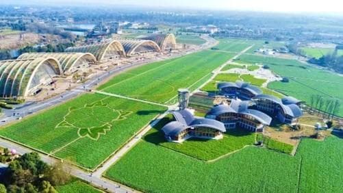 百年川西民俗估膘回归！新津发布3条新春旅游线
