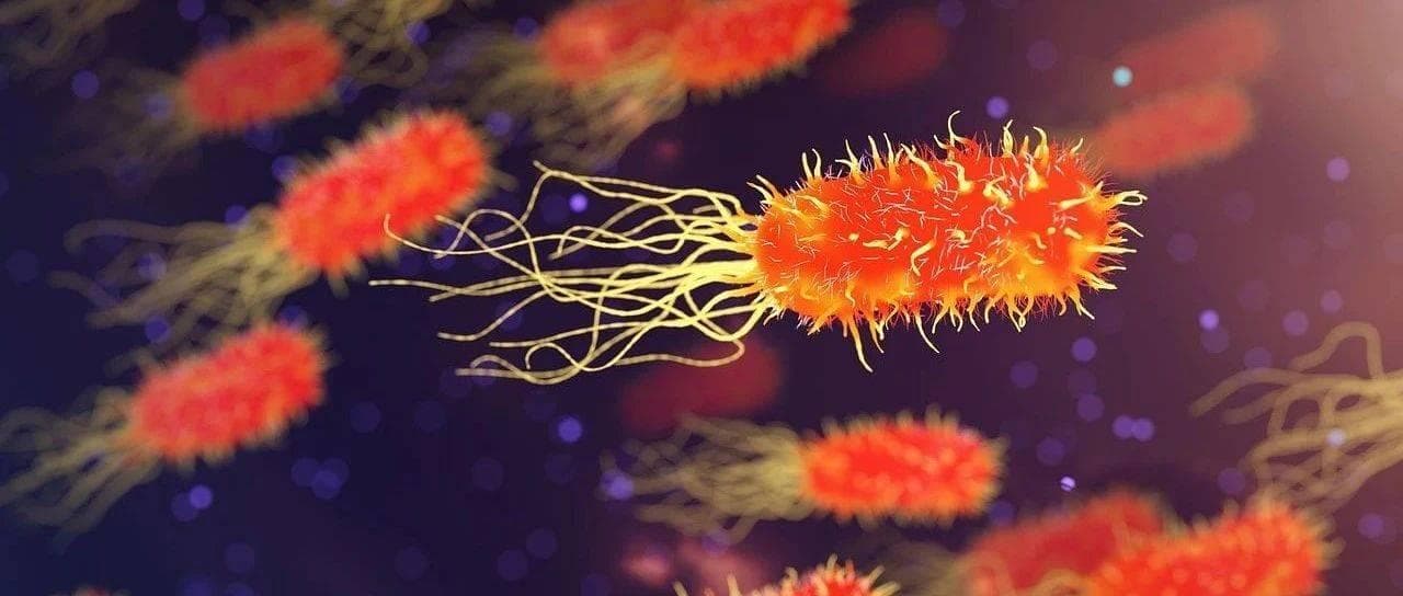 大肠杆菌发酵概述：生产过程、优缺点及发酵影响因素