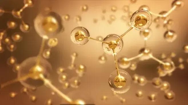 桑黄提取物的体外抗氧化、降血糖及降尿酸活性研究