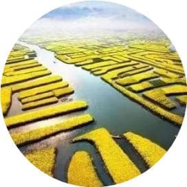 地震预警！正式上线！