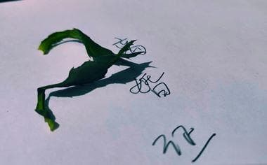 离婚时经济帮助的条件指的是什么