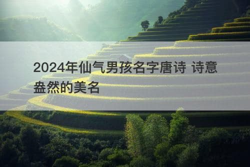 2024年仙气男孩名字唐诗：诗意盎然的美名