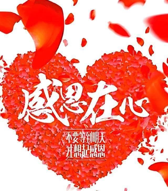 高情商的艺术：那些让人心生暖意的感谢之辞