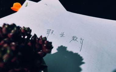 职业教育如何提升办学质量