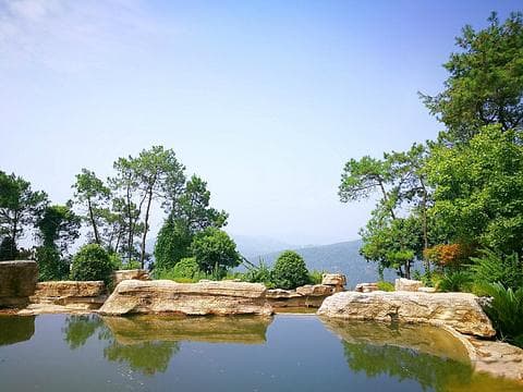 铁山坪森林公园旅游指南 | 探索重庆自然美景 🌿