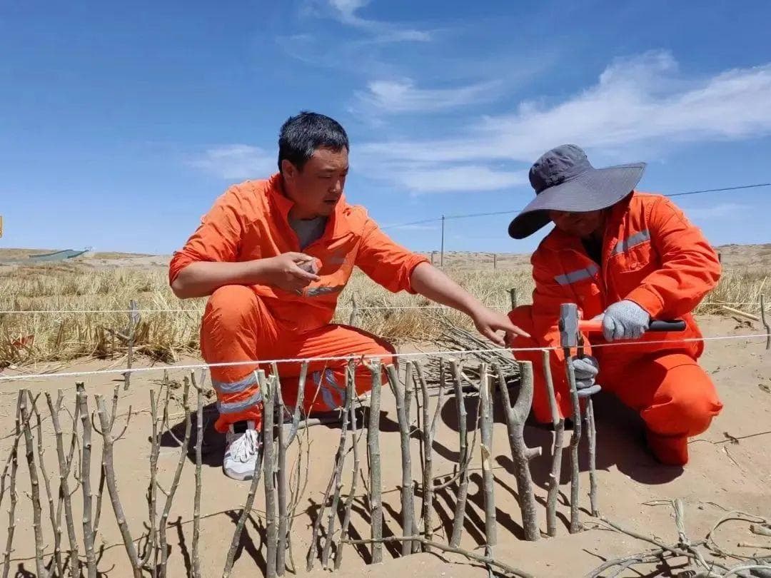 金昌公路：创新复合技术成功防治9万平方米流沙