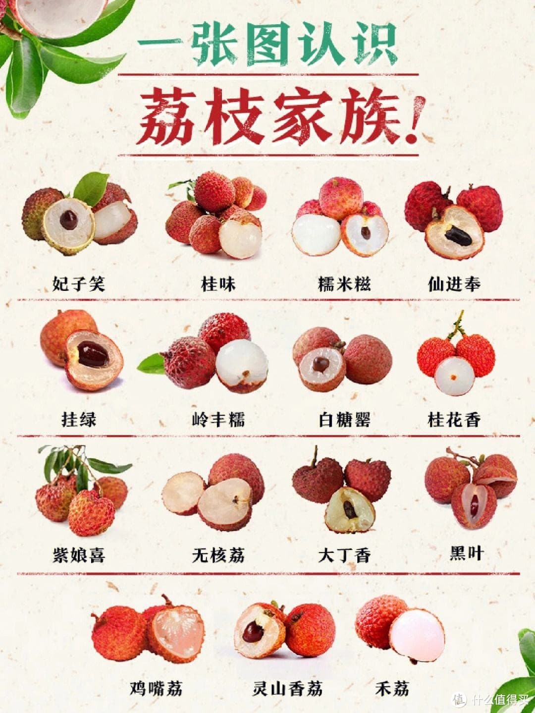 荔枝品种大比拼，哪款才是你的心头好？