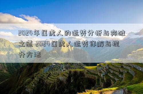 2024年属虎人运势分析：爱情、财运、事业与学业详解