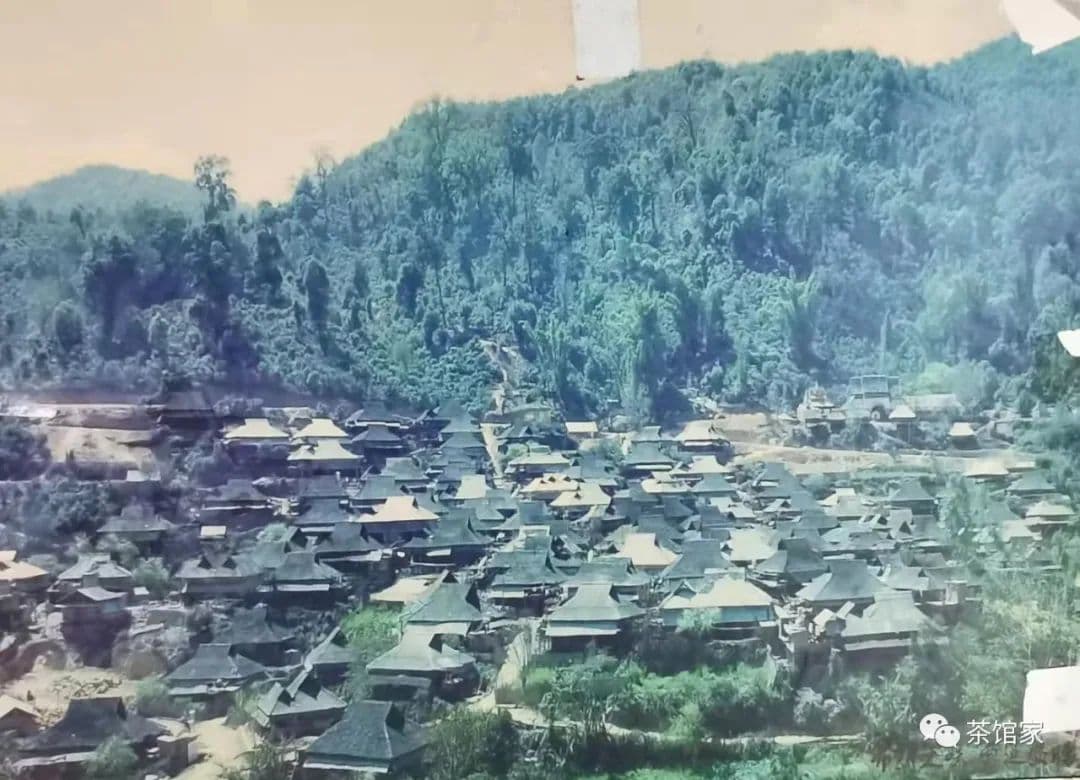 老曼峨古茶园：布朗山系最大最古老的布朗族山寨