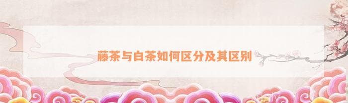 藤茶与白茶的区分及其区别
