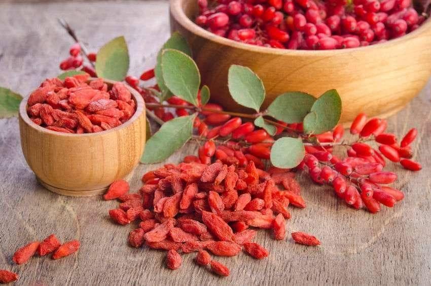 糖尿病人吃枸杞竟能降血糖？的确可以，但需控制食用量，一文告知