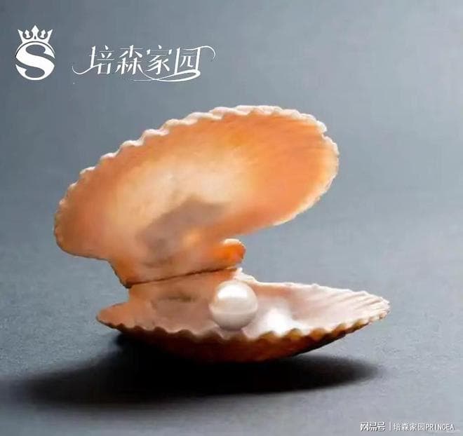 揭秘！蚌壳里的珍珠诞生记