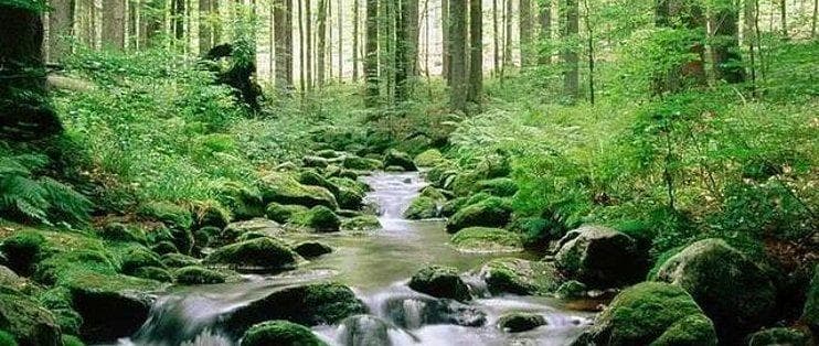 不粘锅涂层成分解析与选购指南