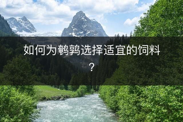 鹌鹑养殖必读：如何科学选择和使用饲料？