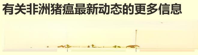 过去三年非洲猪瘟的疫情形势与防控经验、疫苗研究进展