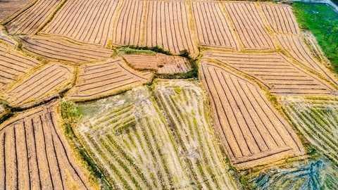 农村土地纠纷找谁解决？四大部门职能全解析