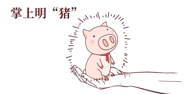 想要细胞基因敲除？技术和策略全攻略
