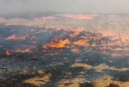 多地试点秸秆“限时分区”焚烧，破解环保与农业困局