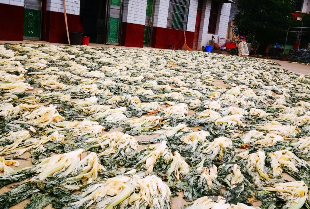 “四大特点”吃出宁乡风味
