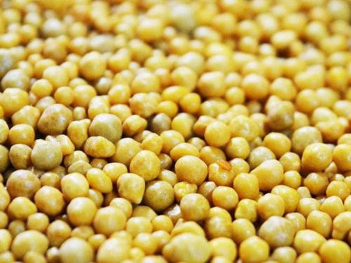 月季施肥全攻略：不同时期的施肥注意事项