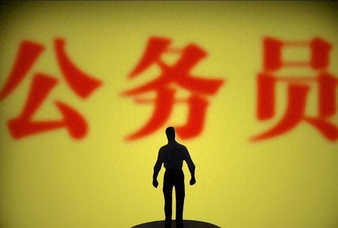 在机关中哪些部门或是哪一级的干部才有晋升巡视员的希望？