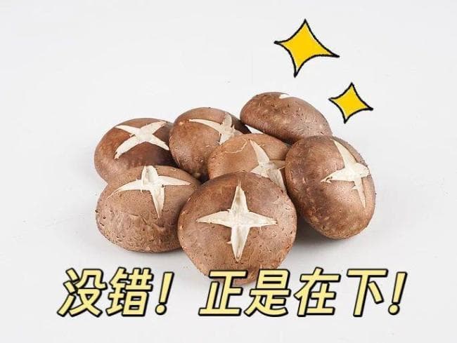 女子吃了未熟香菇身体像被“鞭打” 警惕香菇皮炎