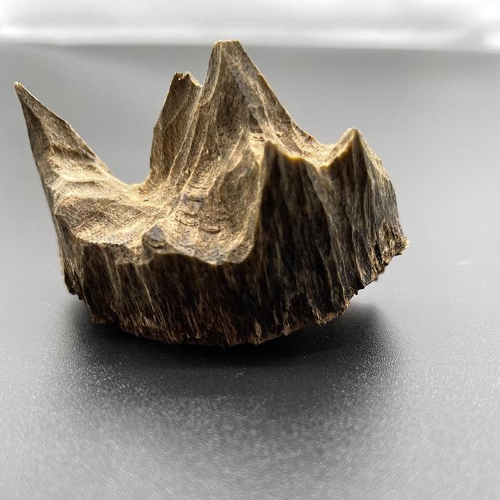 老山檀香与沉香：同为香木，却有这些不同