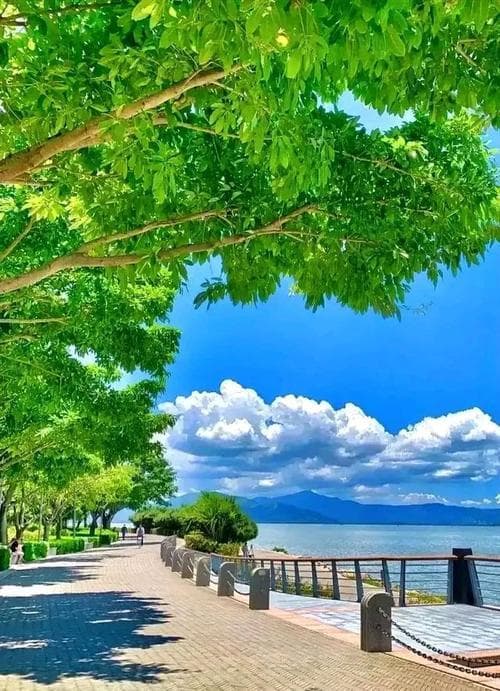 夏季有哪些美丽的景色？盛夏美景：带你领略夏日缤纷色彩!