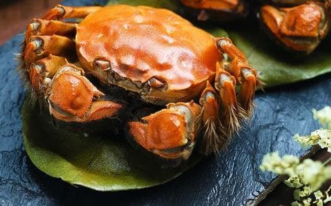 【营养师教路】大闸蟹当造：高胆固醇和痛风人士不宜食用？