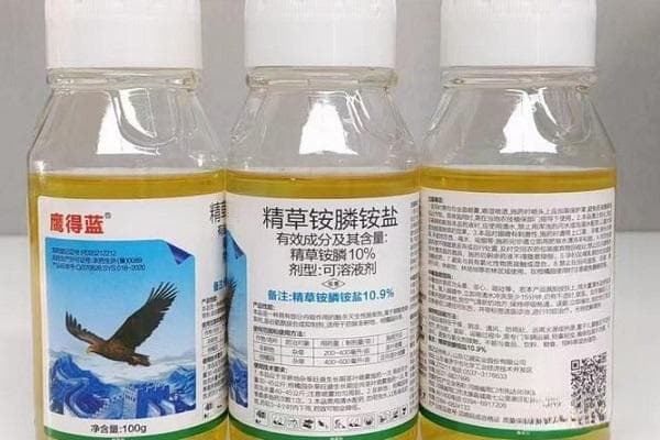 除草剂什么时间喷洒效果最好？