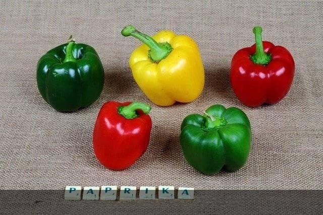 公文大模型助力，让写作更有深度