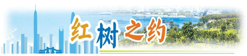 深圳福田红树林：智慧生态打造候鸟迁徙“五星级驿站”