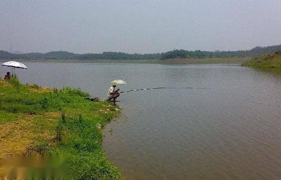 垂钓鲤鱼的六个最佳钓点选择