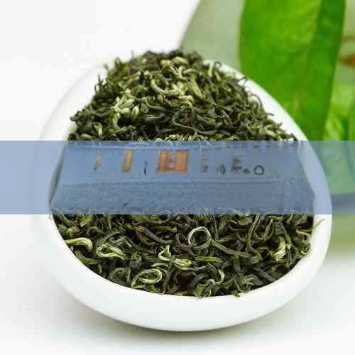普洱茶品饮选择指南：从茶品到茶种的全面解析