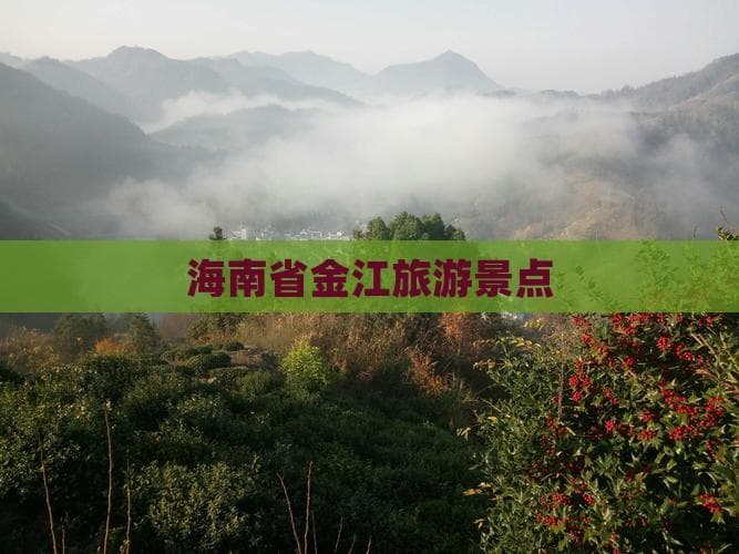 海南澄迈金江旅游攻略：景点、美食与特色活动全览