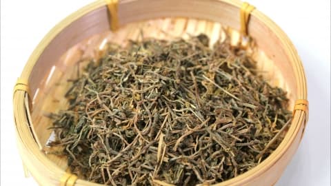 垂盆草的功效与作用是什么