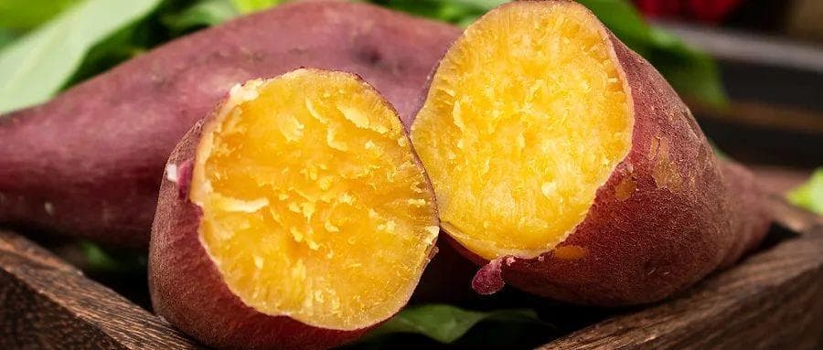 来得太及时了！9种食物、5个妙招，节后肠胃不适的人一定要看