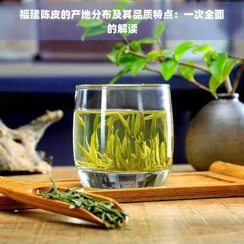 福建陈皮的产地分布及其品质特点：一次全面的解读