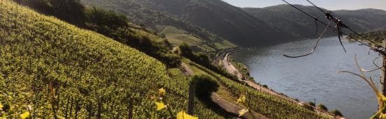雷司令的传奇产区——德国莱茵高(Rheingau)